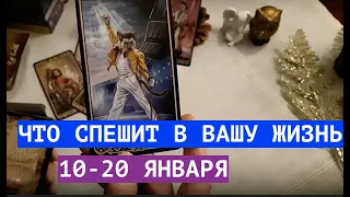 Что спешит в ВАШУ ЖИЗНЬ🔮ВЕТЕР перемен в  ближайшие 10 дней  🔔Таро онлайн расклад/Гадание/Тиана Таро