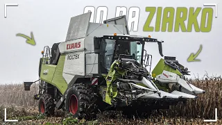 QQ Na Ziarno | Jedyny Taki W Okolicy CLAAS TRION 640