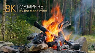 Natural Scenery by The Campfire🌲Soothing Relaxing Sounds 🔥8K