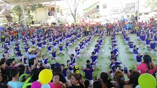 Macabalan Elementary School Grade IV Field Demo SY 2018 - 2019