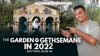 THE GARDEN OF GETHSEMANE IN 2022 - Matthew 26:36-46 - CHURCH OF ALL NATIONS