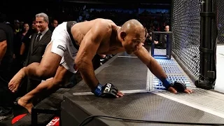 Ronaldo Jacare Souza  | Highlights 2016 - "The Gator"