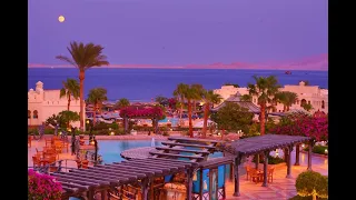 Charmillion Club Resort 5* Шармиллион Клуб Резорт - Египет, Шарм-эль-Шейх | обзор отеля, территория