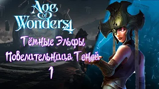 AGE OF WONDERS 4 #1 Тьма - Эльфы