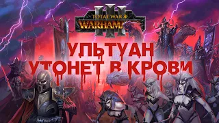 Тёмные Эльфы. Фракции Total War Warhammer 3