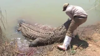 Mabula Pro Safaris   Trophy Nile crocodile hunt