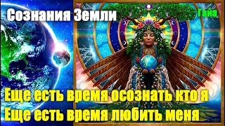 Сознание Земли - Я постараюсь защитить как можно больше людей#Эра Возрождения