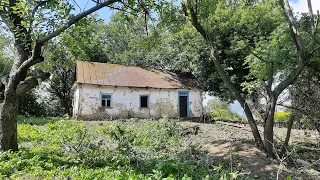 Хата мазанка . Чистка території та перші знахідки .