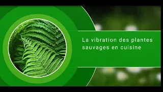 La vibration des plantes en cuisine