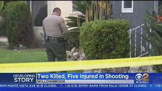 Two killed, 5 wounded in shooting in Willowbrook neighborhood