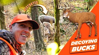 MATURE BUCKS SMASH Our Decoy!! (This Was INSANE!!!)