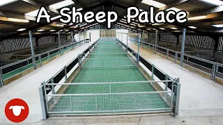 £70,000 UPGRADE to this SHEEP SHED