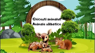 Ghicești animalul?🦊🦌|ghicitori despre animale sălbatice