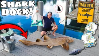 Catching Aquarium SHARKS Under Shark Infested Dock! (They Smell Blood!)