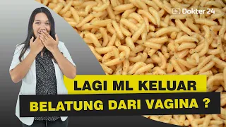 Dokter 24 - IH NGERI !! ML JADI GELI KARNA BELATUNG????