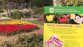 Тюльпановый рай в Крыму/Парад тюльпанов в Никитском Ботаническом Саду