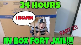 24 Hours In Box Fort Jail Part 2! 24 Hour Challenge With No LOL Dolls