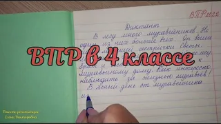 ВПР по русскому языку в 4 классе