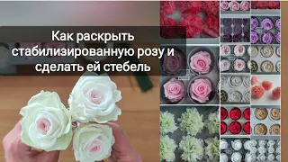 Как раскрыть стабилизированную розу и сделать ей стебель