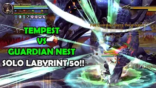 Tempest solo on Guardian Nest LB 50 Dragon Nest 2020