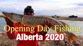Pike fishing Alberta 2020 ( new personal best??)