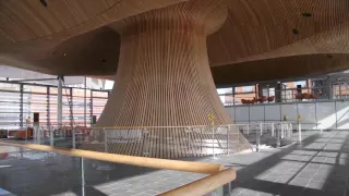 Y Senedd