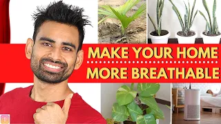 How to Breathe Fresher Air Instantly in 3 Simple Steps (Air Pollution)