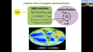 Understanding Photosynthesis to Improve Crop Production