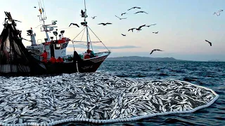 Amazing big nets catch hundreds of tons of herring on the modern boat - Biggest Fishing Net #02