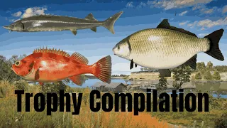 Russian Fishing 4 | Trophy Compilation |