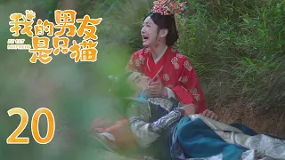 EP20 猫王子英雄救美命悬一线 可爱少女抱着他大声痛哭 他们能否度过难关🐱我的男友是只猫 My Cat Boyfriend｜奇幻甜宠爱情｜田曦薇《卿卿日常》、肖凯中