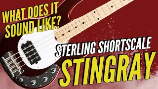 Sterling by Music Man RAYSS4 StingRay - What Does it Sound Like?