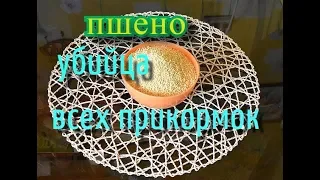 ПРИКОРМКА   пшено убийца всех прикормок