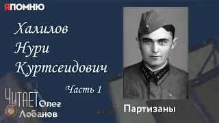 Халилов Нури Куртсеидович. Часть 1. Проект "Я помню" Артема Драбкина. Партизаны.