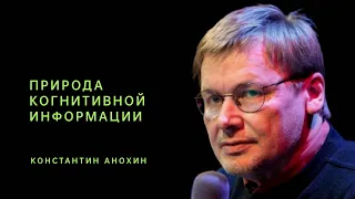 Природа когнитивной информации. Константин Анохин