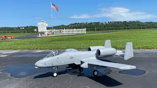 Freewing 80mm A-10 MAIDEN FLIGHT!