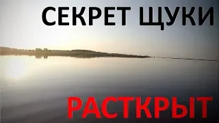 Секрет щуки раскрыт. Рыбалка с ночёвкой на острове Сааремаа. В этот день, в этот час.