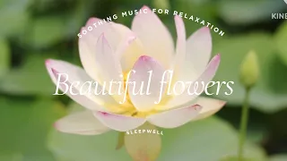 "Serenity in Bloom: Relaxing Flower Slides with Soothing Music" #meditation #deepsleep #relaxation