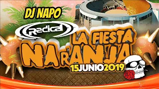 NAPO FIESTA NARANJA 2019