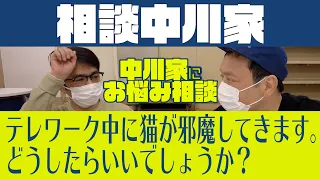 相談中川家「テレワーク中に猫が邪魔してきます。可愛くて仕事にならないのですが、どうしたらいいでしょうか？」