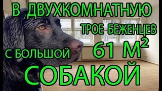 Дать или не дать Украинцам двухкомнатную квартиру с большой собакой в Германии