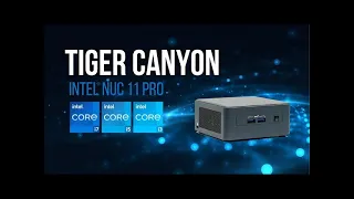 Intel® NUC 11 Pro Tiger Canyon - Customized by Simply NUC