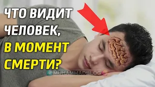 Что чувствует умирающий в момент смерти?