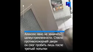 Житель Кудрово лбом разбил дверное окно