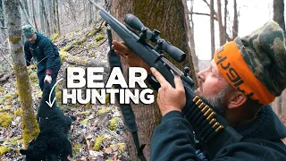 BEAR HUNTING with HOUNDS!! - Free Casting Bear Dogs