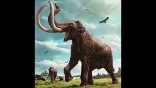 Mammoth Roar Sound
