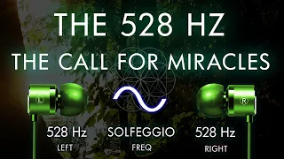The Call For Miracles  -  The 528 hz Brain Hemisphere Synchronization