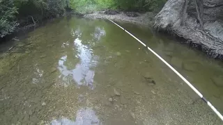 Water Moccasin Attacks Fisherman