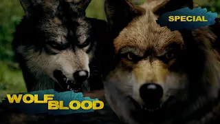 Best Wolfblood Showdowns from Season 1 and 2 | Wolfblood | Special