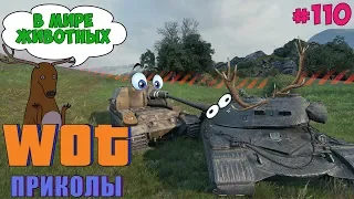 World of Tanks Приколы # 110 (В Мире Животных)